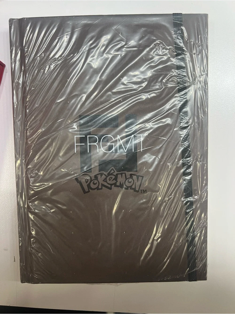 Frgmt Pokémon x Fendi brown notebook NWT